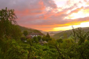 Barn sunset 15