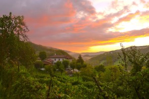 Barn sunset 15