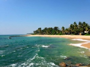 Northern Beach view